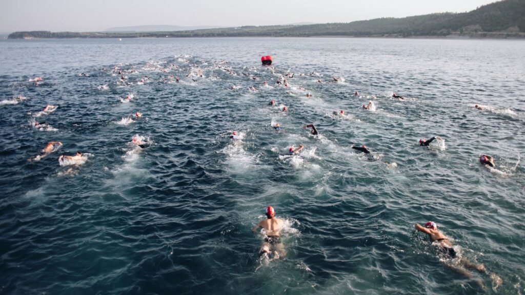 open water marathon swims