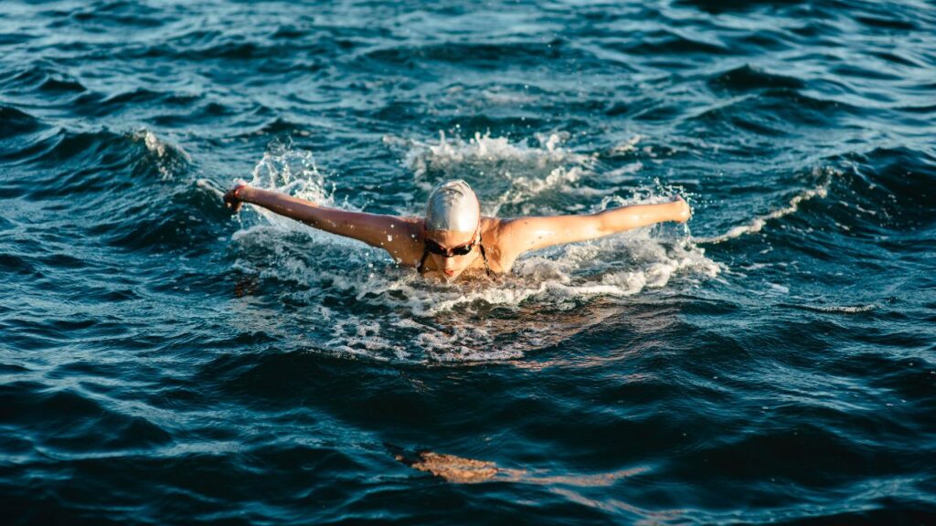 tips open water swimming